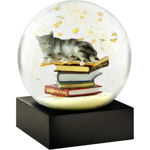CoolSnowGlobes Cat on Books Cool Snow Globe (Beautiful gift)